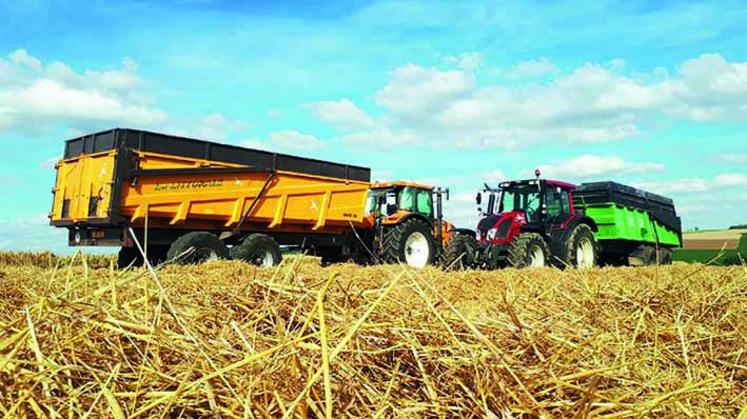 Les rendements moyens du blé tendre seraient autour de 84 quintaux par hectare, selon FranceAgriMer