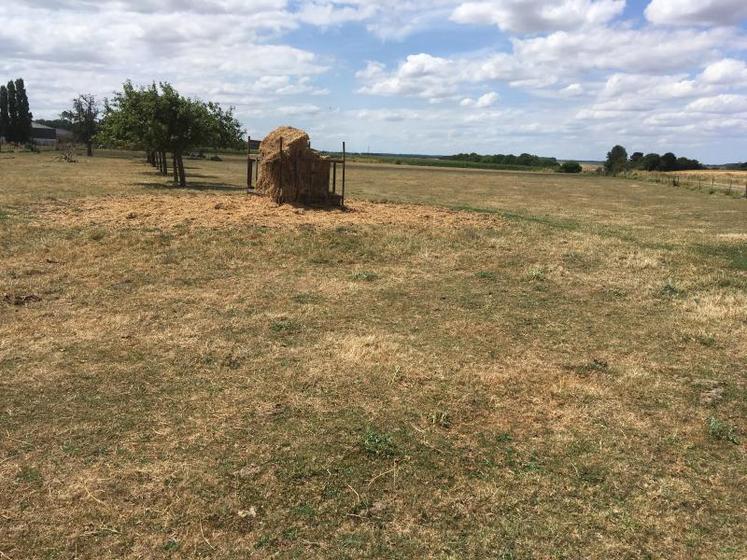 Les prairies sont rases depuis plus d’un mois et les éleveurs complémentent les animaux en puisant dans les stocks.