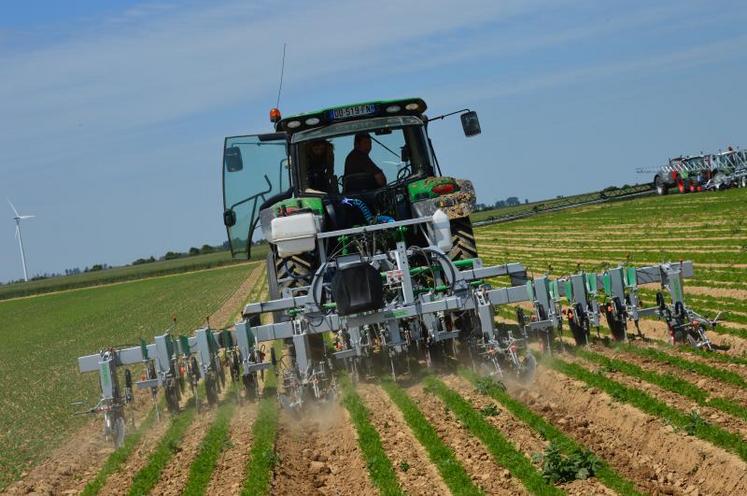 Le désherbage mécanique peut être une stratégie envisageable pour réduire l’usage des herbicides.