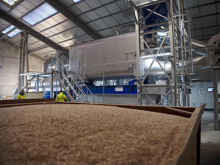Avec la technologie ThermoSem, Terre de lin désinfecte ses semences à la vapeur d’eau. Un procédé qui répond à des enjeux de qualité et de respect de l’environnement. 
