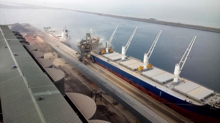 Troisième silo portuaire français avec un chiffre d’affaires d’un peu plus de 10 millions d’euros, Nord Céréales a exporté 1,3 million de tonnes de céréales lors de la campagne 2017-2018 et en a importé 216 039 tonnes. 