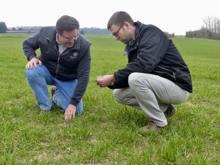 Tous les mardis, les agriculteurs du Ceta se retrouvent pour un tour de plaine. Ici, Guillaume Henne, président, et Alexandre Klein, technicien.