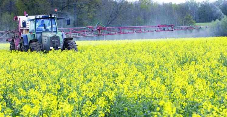 Les conditions climatiques expliquent objectivement l'augmentation du recours aux phytos, mais pour le ministre de l’Agriculture elles ne sont pas nécessairement incompatibles avec une réduction de leur utilisation.