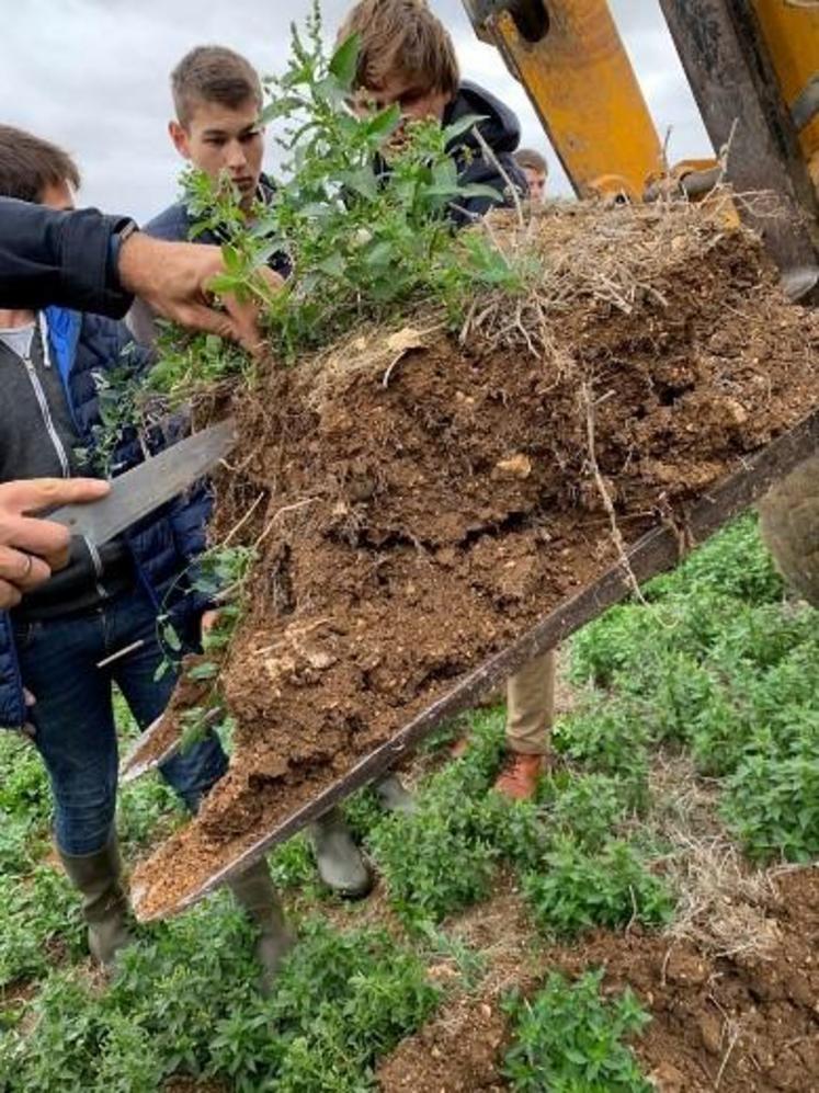 Toutes les classes du lycée en rapport avec l’agriculture participent au projet, puisque les essais sont menés à plusieurs niveaux.