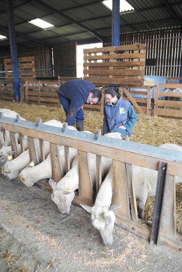 La surveillance des mamelles reste de rigueur.