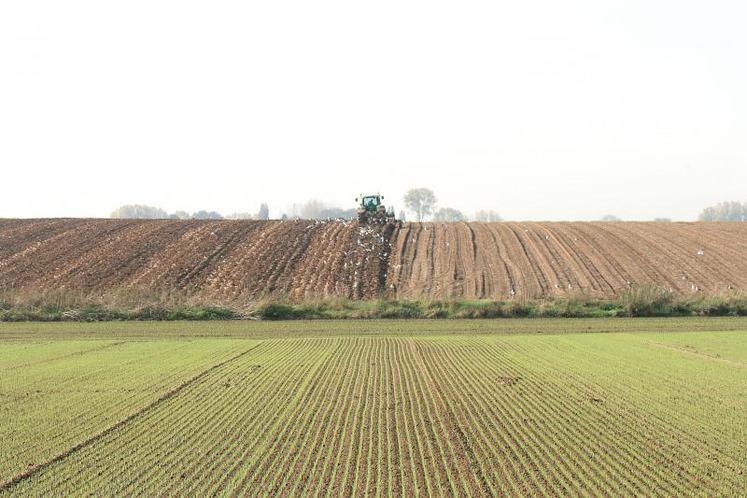 L’augmentation des départs à la retraite explique l’afflux de foncier, un afflux qui devrait prendre de l’ampleur à partir 
de 2020 en raison de l’âge moyen élevé des exploitants agricoles.