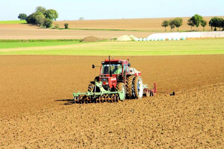 Politique agricole aidant, les grandes cultures ont eu tendance à se substituer à l’élevage.