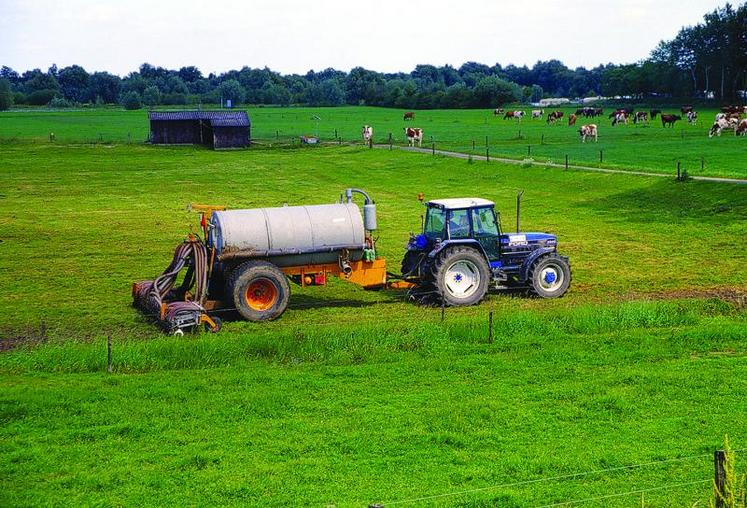 Les éleveurs néerlandais peuvent épandre 250 kilos d’azote issus des effluents d’élevage par hectare et par an.