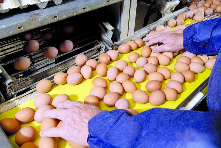 En signant cette charte les professionnels s’engagent sur neuf points clé de la production d’œufs.