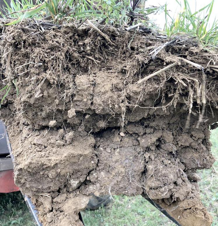 Les tassements profonds des sols sont les moins réversibles.