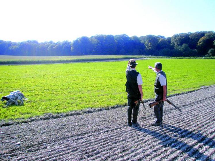 Avant de chasser, tout preneur doit avoir connaissance des principes liés au droit de la chasse.