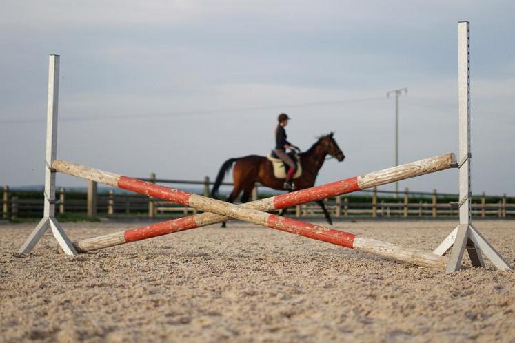 Les propriétaires de chevaux sont priés de rester chez eux. A l'écurie, il faut s'organiser pour s'occuper de chaque équidé.