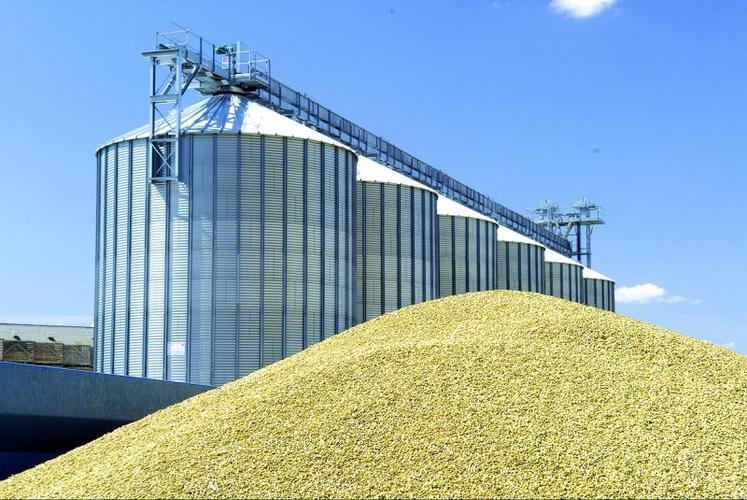 Le stock de report de blé tendre augmente. Il atteindrait à la fin de la campagne 2014-2015 un niveau comparable à celui de la campagne 2004-2005.