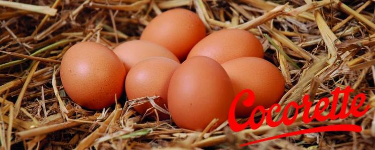 Cocorette commercialise 850 millions d’œufs alternatifs par an. Sa part de marché a augmenté de 12 % en 2017.