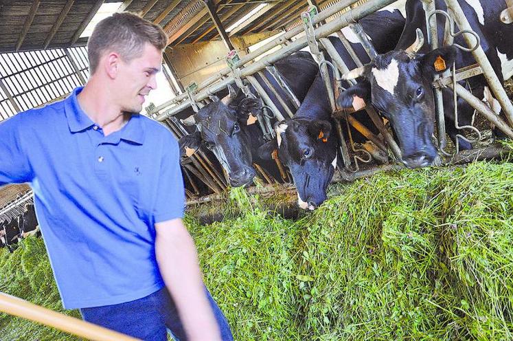 Pour l’alimentation de ses vaches, Guillaume Roussel a choisi l’affouragement en vert. Les vaches sont en meilleure santé et le goût du lait meilleur.