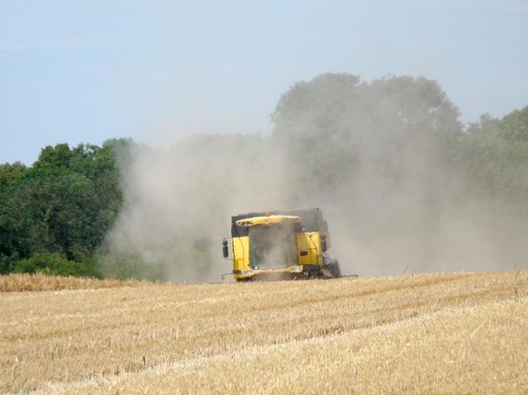 La filière souhaite doubler les surfaces de grandes cultures - céréales et oléoprotéagineux - biologiques en cinq ans.