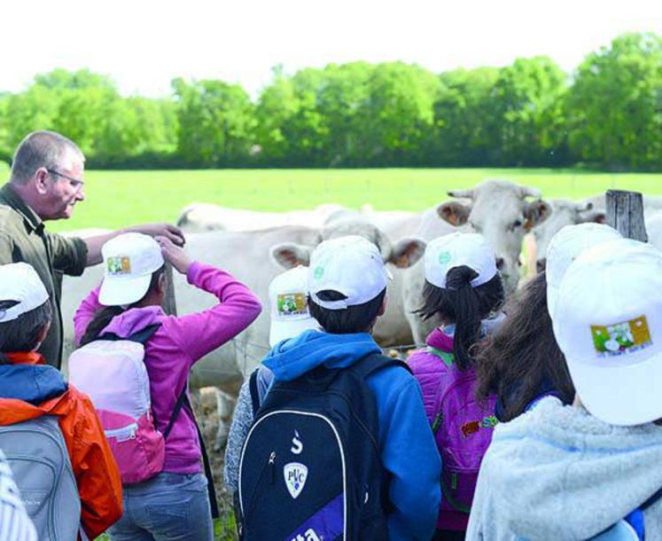 Dominique, producteur de vaches allaitantes, explique son métier aux enfants.