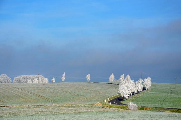 Les Samariens ont pu constater un paysage blanchi par les gelées matinales, en ce début de mois d’avril.