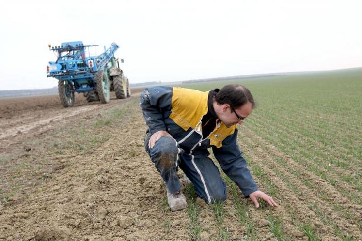Au-delà de l’aspect réglementaire, le calcul de dose d’azote à apporter à la sortie de l’hiver est la base du raisonnement agronomique de la fertilisation et permet d’ajuster les apports.