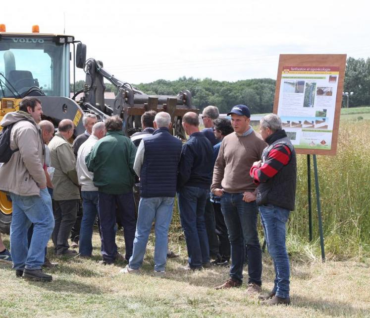 Le GIEE «Eco-phyt’» mène des essais pour accompagner les agriculteurs dans leur transition écologique.