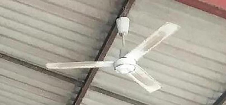 En plus de rafraîchir, l’effet sur les mouches est incontestable.