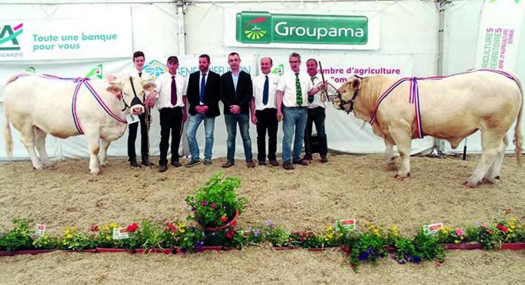 Les prestigieux grands prix d’honneur ont été attribués à Jardinière, femelle née le 8-01-2014,  986    kg de l’élevage Gervais Grare de Buigny-Saint-Maclou et à Martin S, né le 3-01-2016, 797 kg de l’élevage Agri LS (Vincent Soubry) de Vron. Au centre de la photo les juges et Olivier Parcy, président de l’association des éleveurs charolais (80-62-59-60)