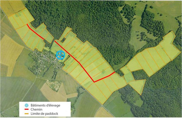 Vincent Delargillière a organisé la surface d’herbe en 41 paddocks et 1,2 km de chemin pour 52 ha de prairies. 