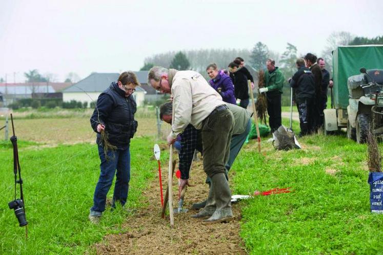 Les employés des Sana Terra ont pris leurs bêches pour aider Hélène et Gonzague Proot à planter 350 m de haies.