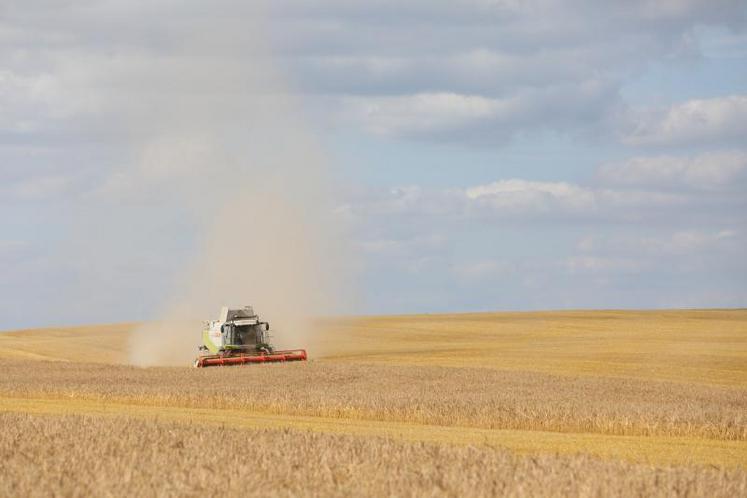 Le bornage permet de fixer les limites d’un terrain.