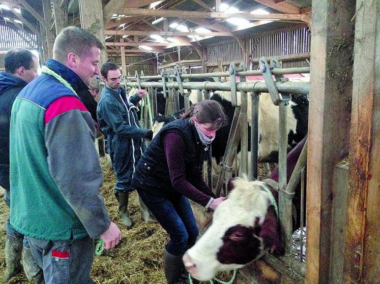 Jeunes agriculteurs et agricultrices se sont frottés aux différents exercices sur les conseils du formateur.