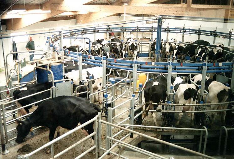 Le secteur des matériels d’élevage est de loin celui qui connaît la croissance la plus importante, suivi des matériels 
de transport.