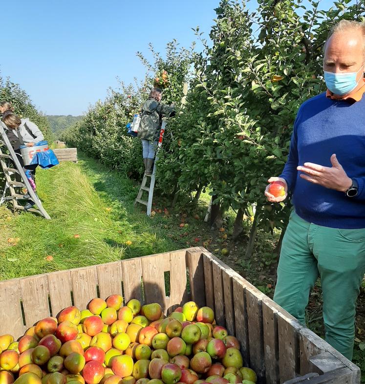 vergers écoresponsables