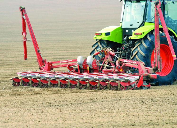 Les surfaces de bettaraves passeront de 38 700 ha en 2015 à 41 600 ha en 2016 dans la Somme. Dans la Région 
Hauts-de-France, elles passeront de 52 381 ha à 57 100 ha.