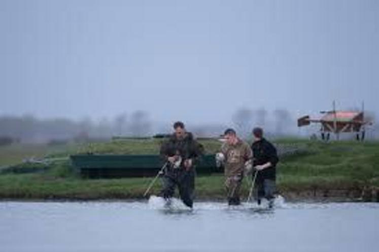 Pas de chasse pour les chasseurs au gibier d'eau malgré leur volonté de se positionner comme des sentinelles sanitaires tandis que le virus H5N8 refait surface.