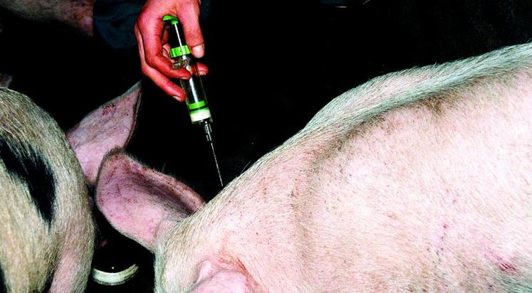 Entre 2011 et 2014-2015, l’exposition aux antibiotiques a diminué pour toutes les espèces : - 24,1 % pour les porcs, 
- 22,1 % pour les volailles, - 17,8 % pour les lapins et - 9,5 % pour les bovins.