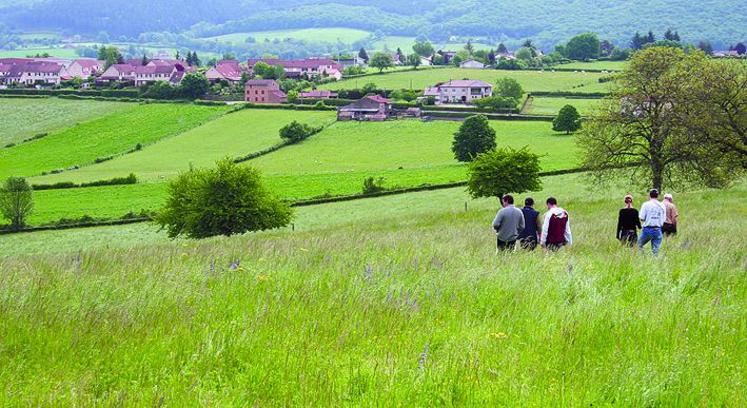 Entre rêve à la campagne et satisfaction de vivre en ville, les Français souhaiteraient rapprocher les deux modes de vie.