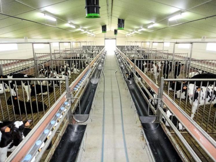 Des études sont actuellement en cours sur deux thématiques importantes pour la filière veaux : la réduction des émissions d’ammoniac et de l’usage des antibiotiques.