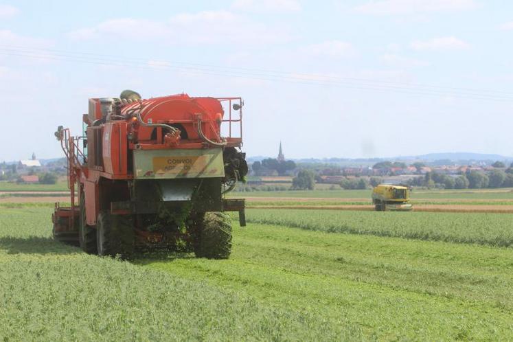 Le nombre d’exploitations qui produisent des légumes pour l’industrie a tendance à diminuer tandis que les surfaces restent stables en France.