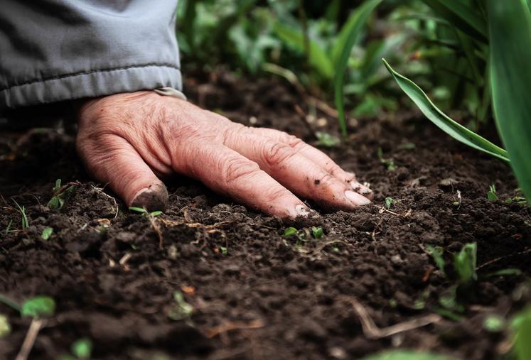 agriculture régénératrice