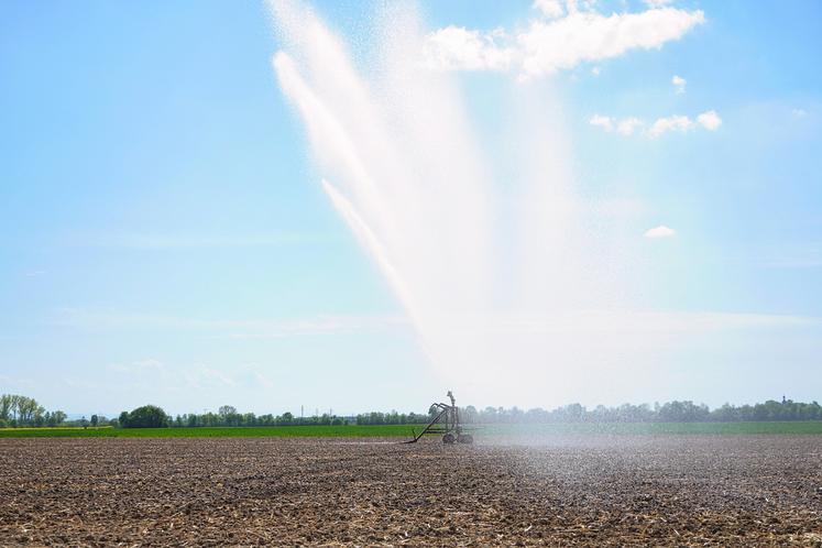 irrigation