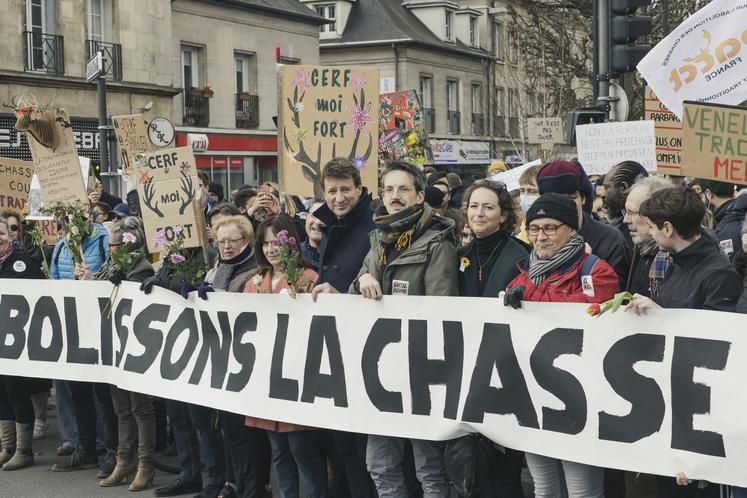 chasse à courre