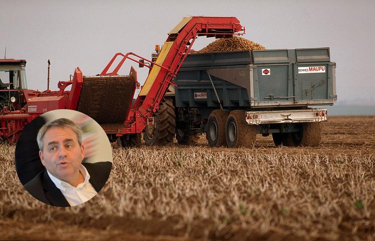 pommes de terre Xavier Bertrand Marc Fesneau