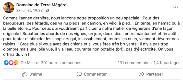 dégâts de sangliers 