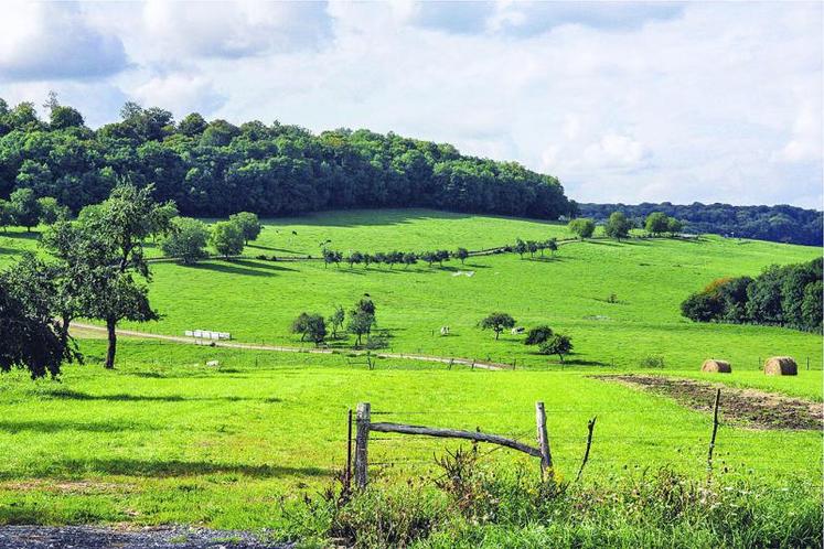 En cas de vente de terrains boisés d’une superficie inférieure à quatre hectares, celle-ci doit être alors notifiée aux propriétaires des terrains boisés contigus, sous peine de nullité.