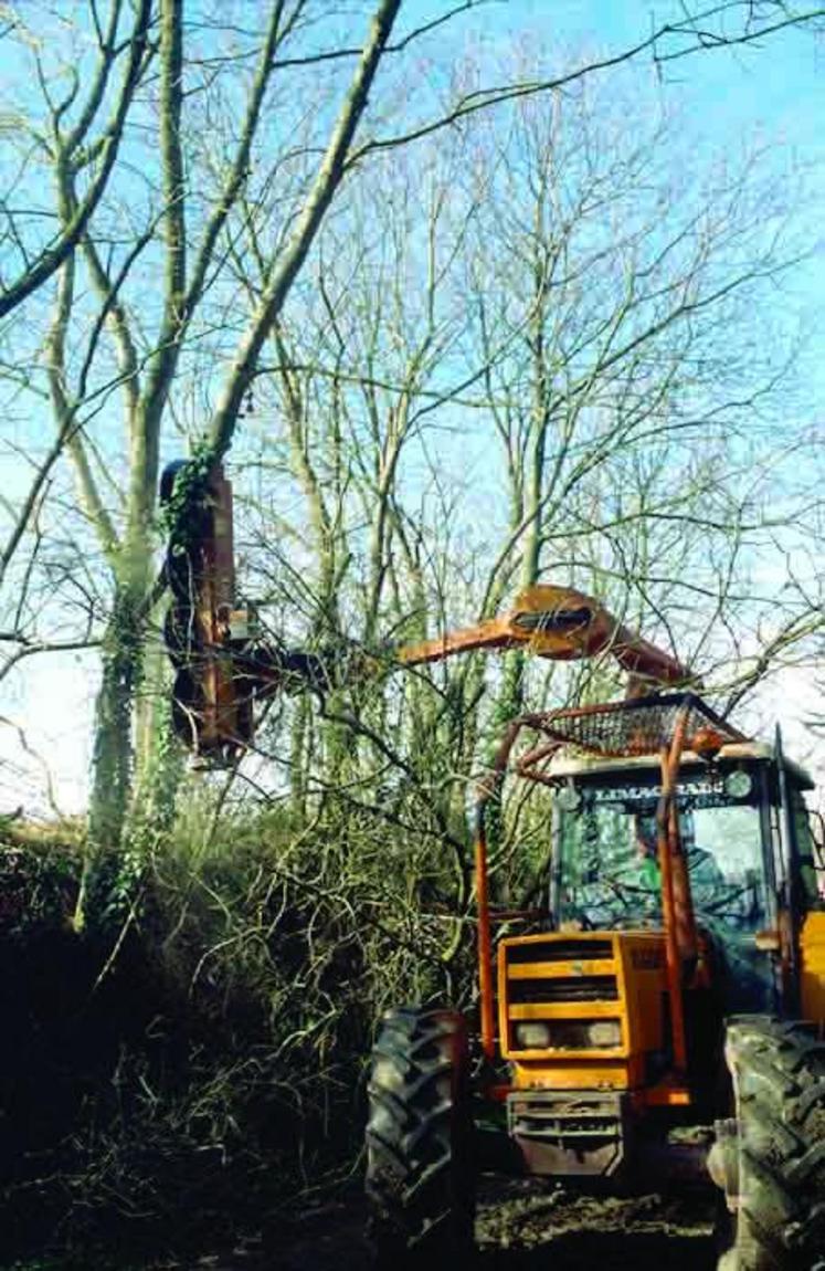 La distance est calculée à partir du centre de l’arbre.