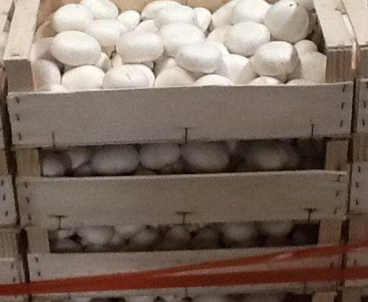 L’entreprise a fait un don de 2 974 kg de champignons.