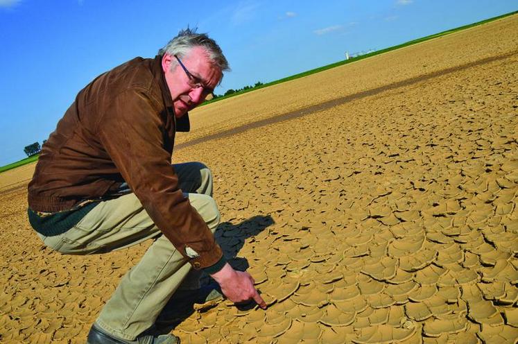 A Villers-Carbonnel, Xavier Flinois montre un champ d’endives, dont la terre, après avoir été inondée, est aujourd’hui totalement craquelée.