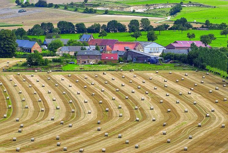 L’accès des exploitants agricoles au RSA est déterminé en fonction des ressources du foyer.