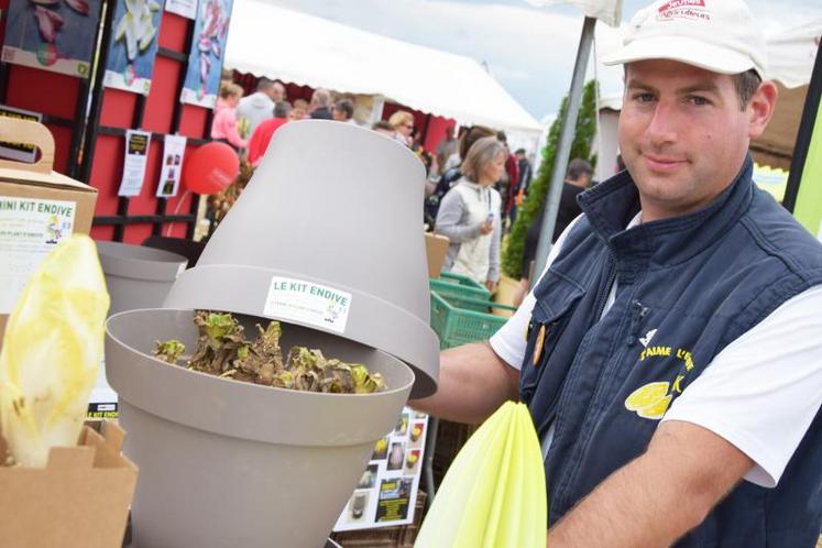 Le kit de dix endives est composé avec un substrat spécial, sous une cloche en plastique recyclable.