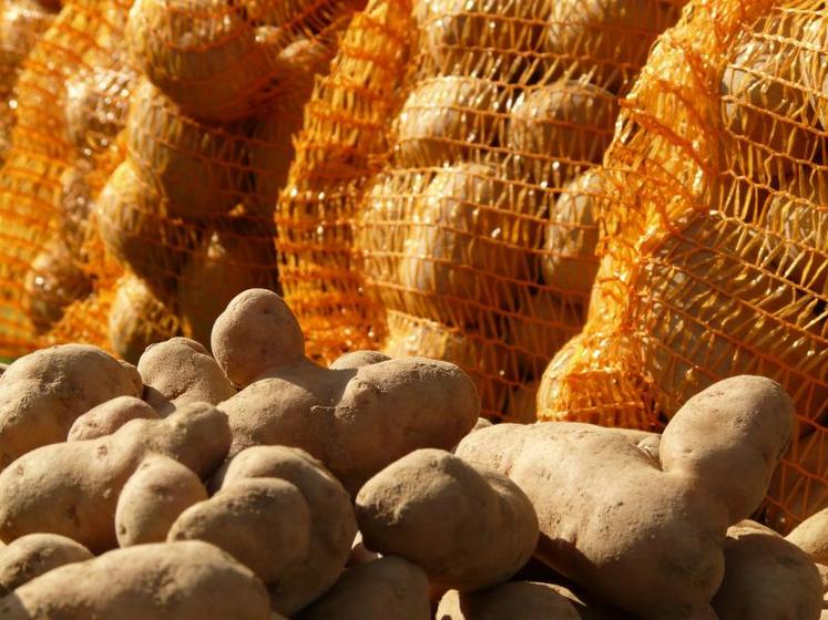 Les contrats de vente de pommes de terre doivent, depuis le 1er février 2019, être précédés d’une proposition du producteur, à moins que celui-ci n’exige de l’acheteur une offre de contrat écrite.